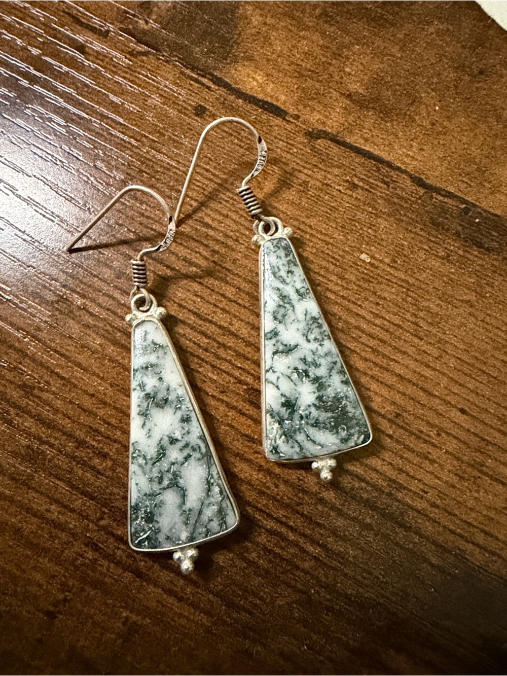 Tree Jasper Earrings in Silver Frame
